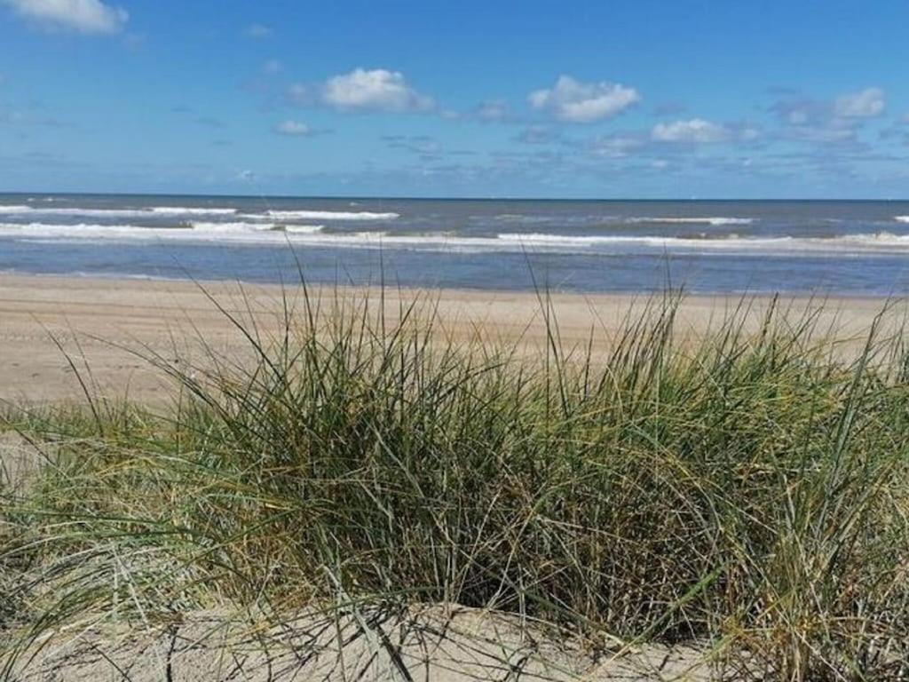 Bright Holiday Home In Noordwijk Near Sea エクステリア 写真